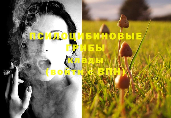 не бодяженный Алексин